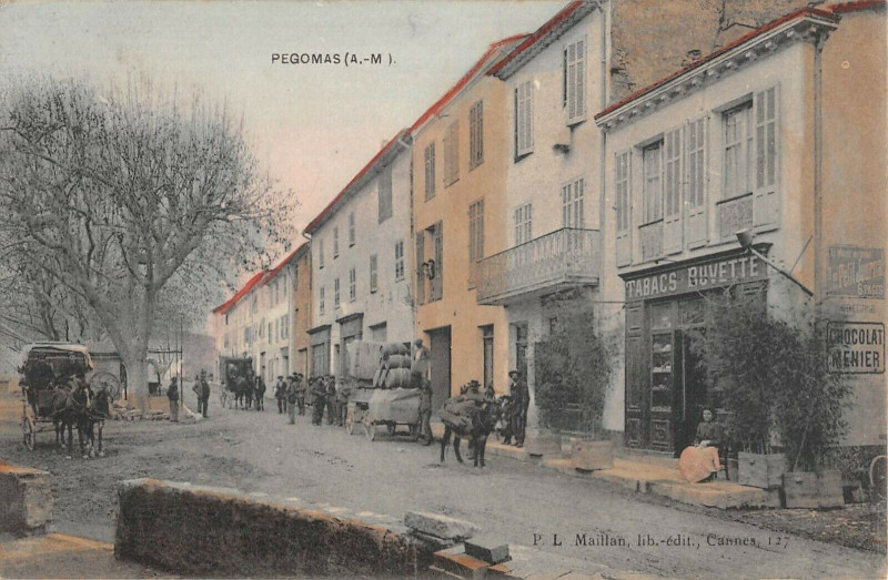 Carte postale ancienne Pegomas