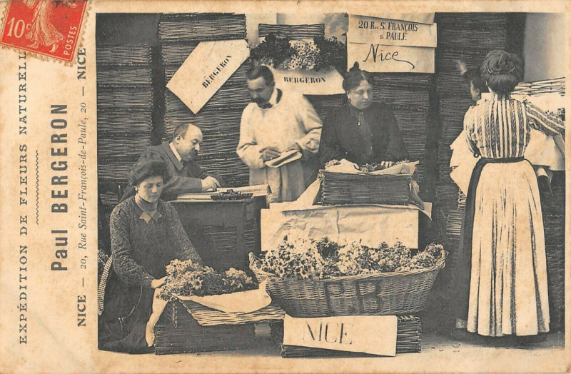 Carte postale ancienne Nice Magasin Paul Bergeron Rue Saint-Francois De Paule Expedition De Fleurs à Nice