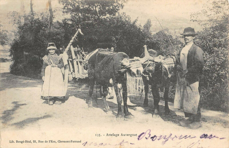 Carte postale ancienne Attelage Auvergnat
