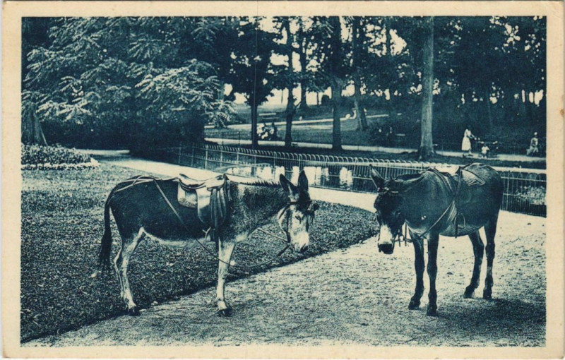 Carte postale ancienne Vichy Confidences à Vichy