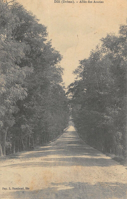 Carte postale ancienne Die Allee Des Acacias à Die