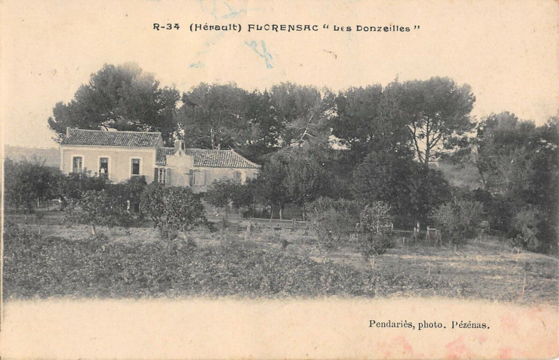 Carte postale ancienne Florensac Les Donzeilles à Florensac