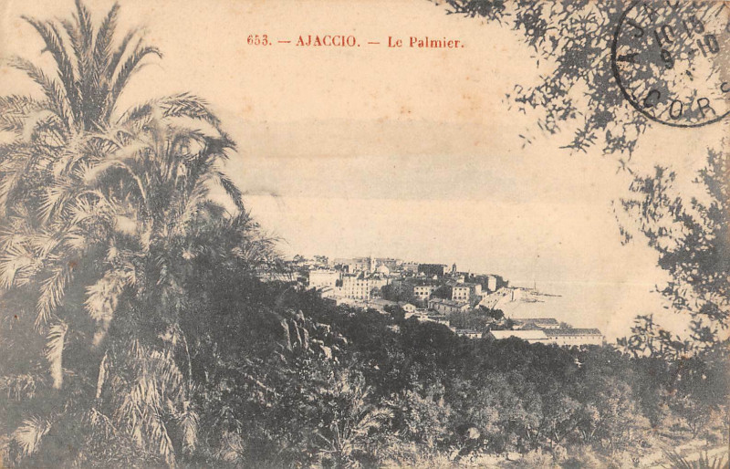Carte postale ancienne 20 Corse Ajaccio Le Palmier à Ajaccio