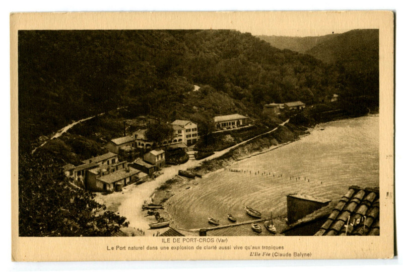 Carte postale ancienne Var Ile de Port-Cros Le Port