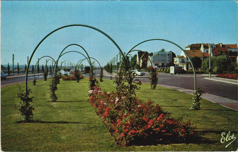 Carte postale ancienne Vichy Nouvelle avenue du Marechal de Lattre de Tassigny à Vichy