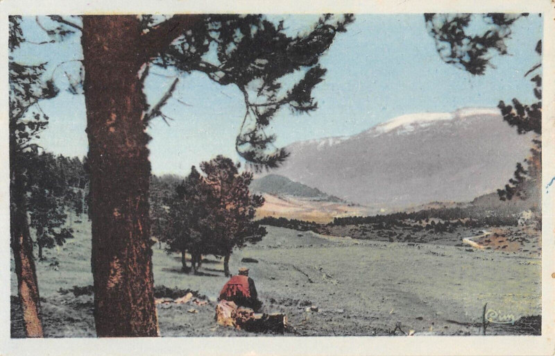 Carte postale ancienne Formigueres Vue Sur Formigueres Real à Ur