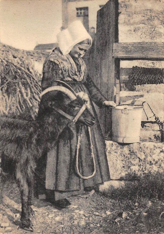 Carte postale ancienne Vouille La Bataille Et Champigny Le Sec Costume