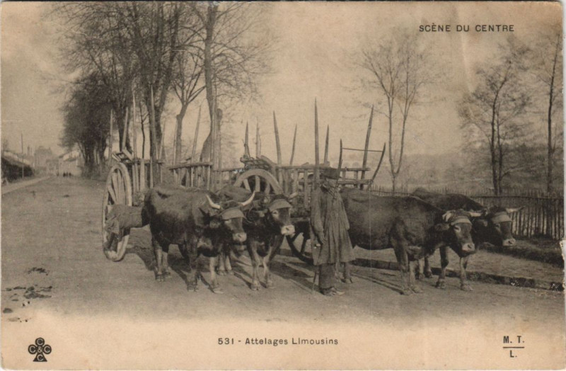 Carte postale ancienne Scene du Centre - Attelages Limousins
