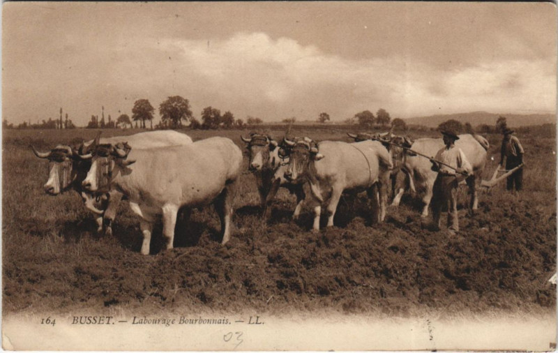 Carte postale ancienne Busset Labourage Bourbonnais à Busset