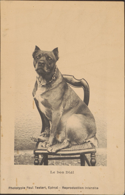 Carte postale ancienne Carte postale, Le bon Didi