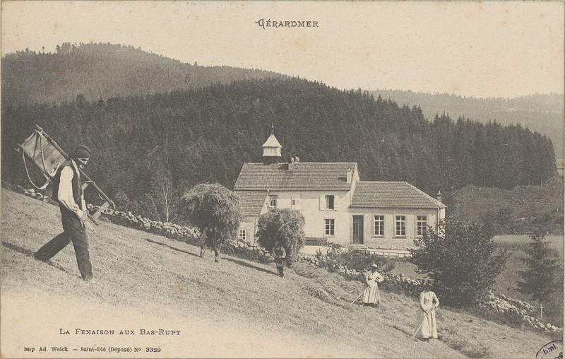 Carte postale ancienne Carte postale, Gérardmer, La Fenaison aux Bas-Rupt