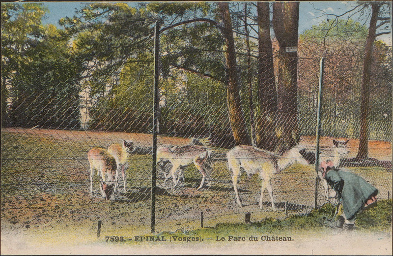 Carte postale ancienne Carte postale, Epinal (Vosges), La Parc du Château