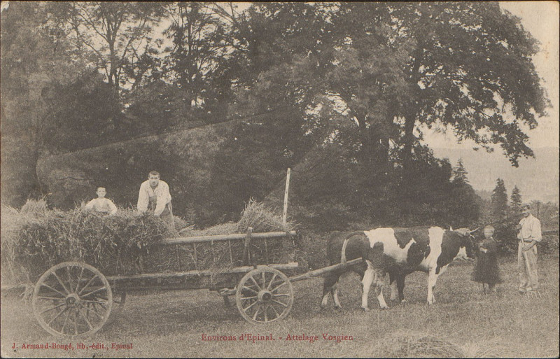 Carte postale ancienne Carte postale, Environs d'Epinal, Attelage Vosgien