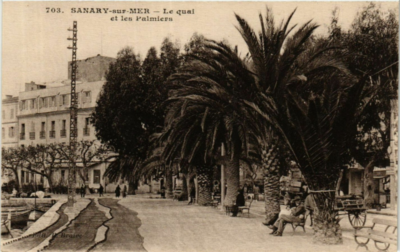 Carte postale ancienne Sanary-sur-Mer - Le quai et les Palmiers à Sanary-sur-Mer