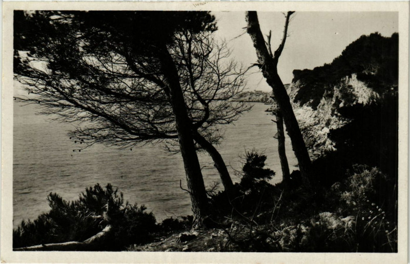 Carte postale ancienne Sanary Vue sur la Cride