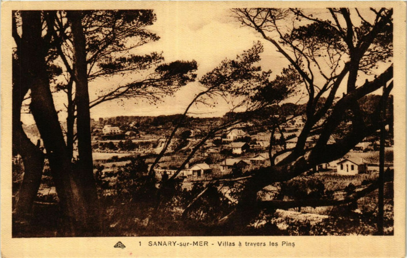 Carte postale ancienne Sanary-sur-Mer - Villas a travers les Pins à Sanary-sur-Mer