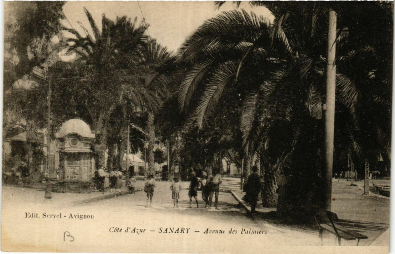 Carte postale ancienne Sanary Avenue des Palmiers