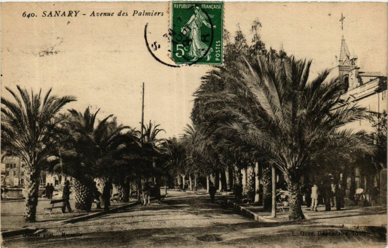 Carte postale ancienne Sanary Avenue des Palmiers