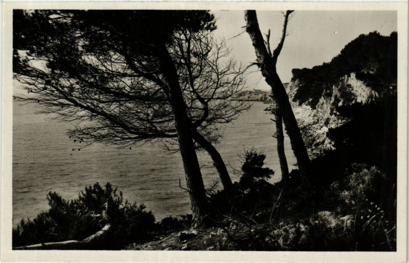 Carte postale ancienne Sanary Vue sur la Cride