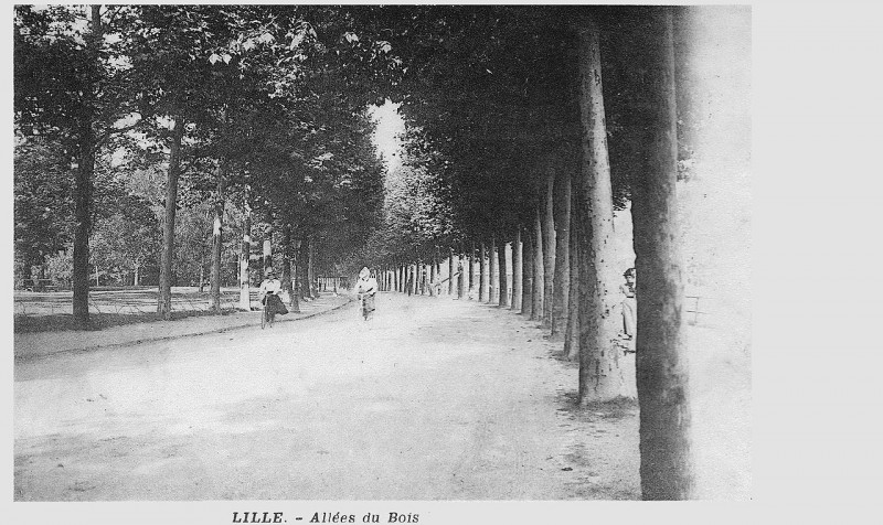 Carte postale ancienne Lille — Allée du Bois à Lille