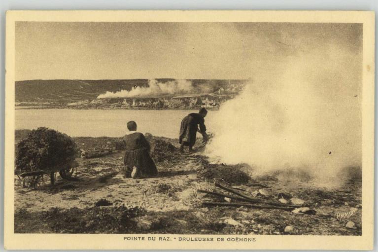 Carte postale ancienne Brûlage du goémon au Loc'h