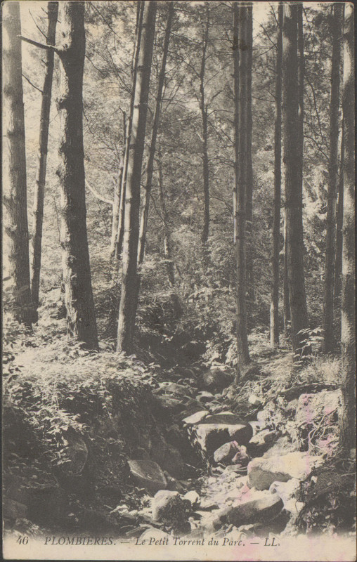 Carte postale ancienne Carte postale, Plombières, Le Petit torrent du parc