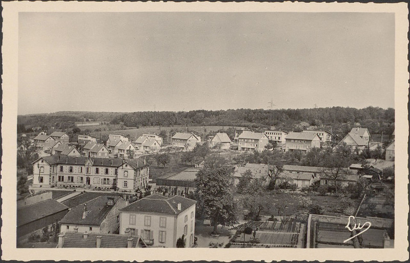 Carte postale ancienne Carte postale, Châtel-sur-Moselle, Vue générale 2