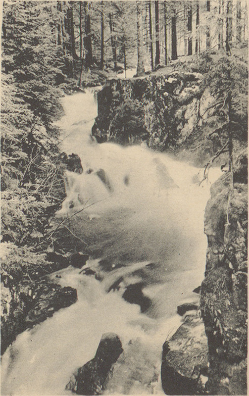 Carte postale ancienne Carte postale, Environs de Gérardmer, La Cascade du saut des cuves 2