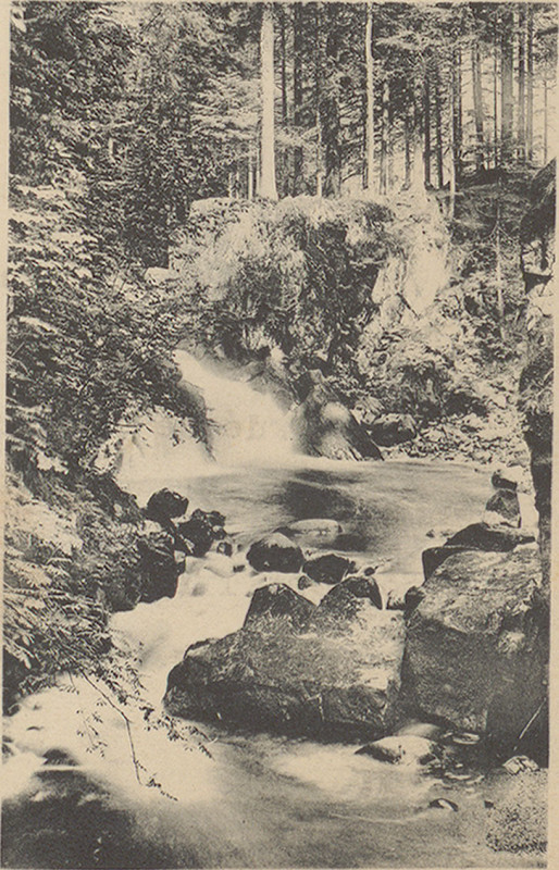 Carte postale ancienne Carte postale, Environs de Gérardmer, La Cascade du saut des cuves 3