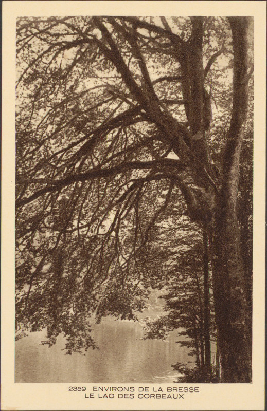 Carte postale ancienne Carte postale, Environs de La Bresse, le Lac des Corbeaux