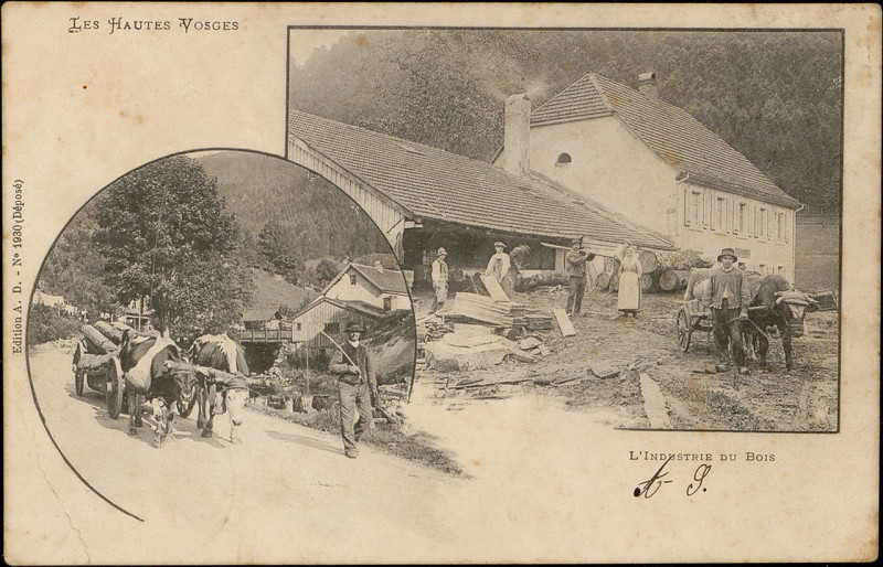 Carte postale ancienne Carte postale, L'Industrie du Bois 2