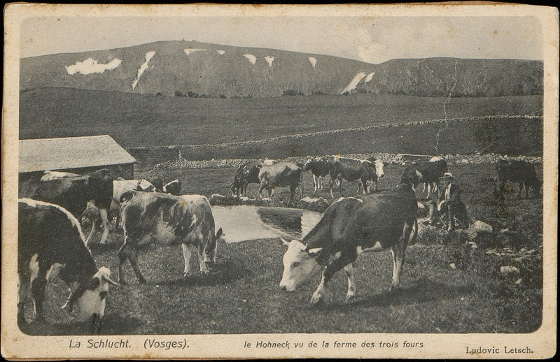 Carte postale ancienne Carte postale, La Schlucht (Vosges), Le Hohneck vu de la ferme des Trois Fours