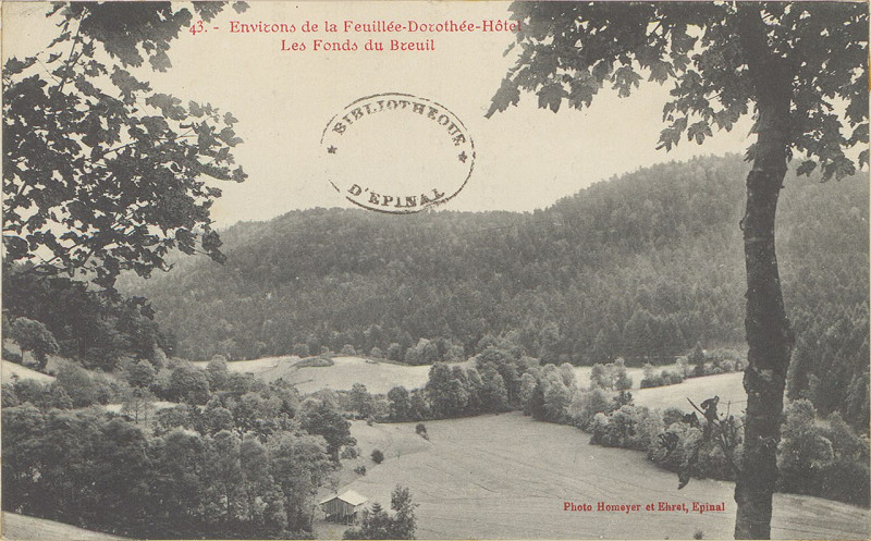 Carte postale ancienne Carte postale, La Terrasse de la Feuillée-Dorothée-Hôtel