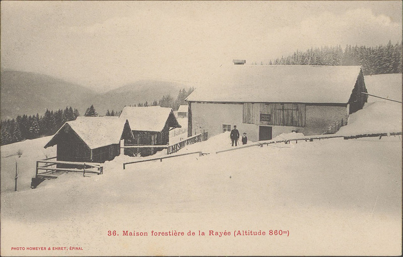 Carte postale ancienne Carte postale, Maison forestière de la Rayée (Altitude 860 m)