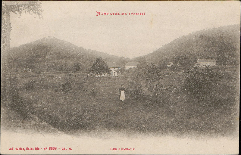 Carte postale ancienne Carte postale, Nompatelize (Vosges), Les Jumeaux