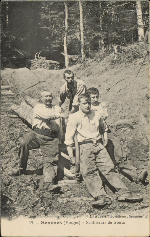 Carte postale ancienne Carte postale, Senones (Vosges), Schlitteurs de troncs