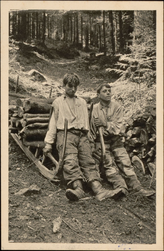 Carte postale ancienne Carte postale, Senones, Schlitteurs