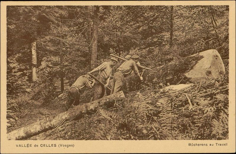Carte postale ancienne Carte postale, Vallée de Celles (Vosges), Bûcherons au Travail