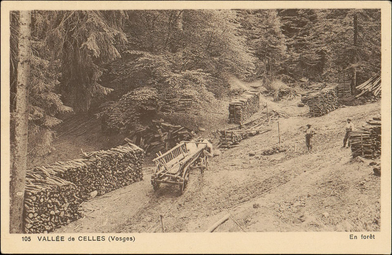 Carte postale ancienne Carte postale, Vallée de Celles (Vosges), En forêt