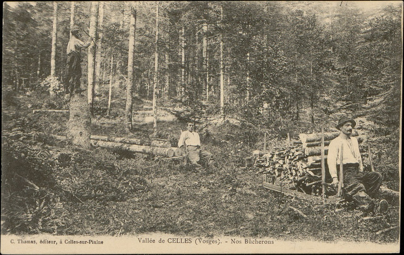 Carte postale ancienne Carte postale, Vallée de Celles (Vosges), Nos Bûcherons