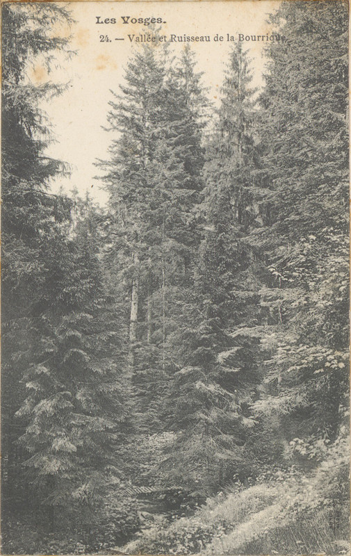 Carte postale ancienne Carte postale, Vallée et ruisseau de la Bourrique