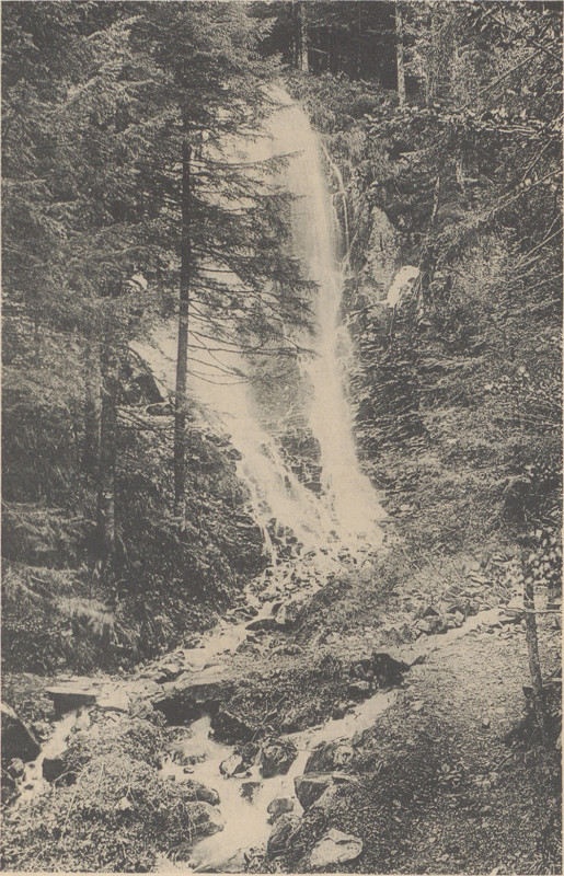Carte postale ancienne Carte postale, Valtin, Cascade du Rudlein