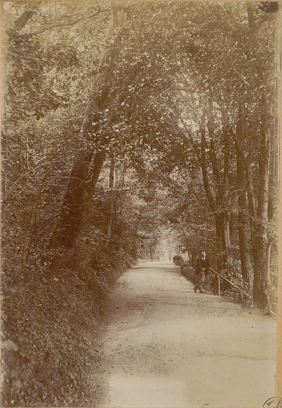 Carte postale ancienne Carte postale, Epinal, Allée du parc du Château