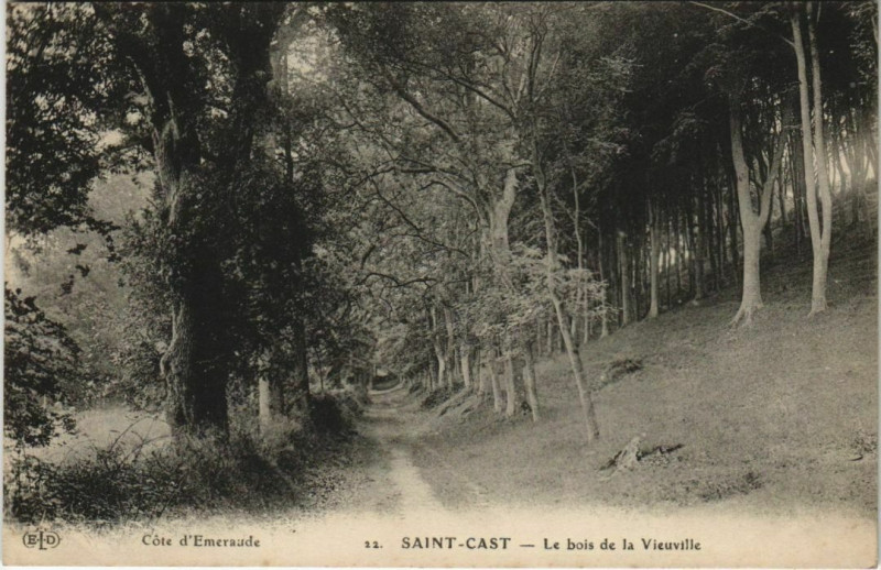 Carte postale ancienne Saint-Cast Le Bois de la Vieuville