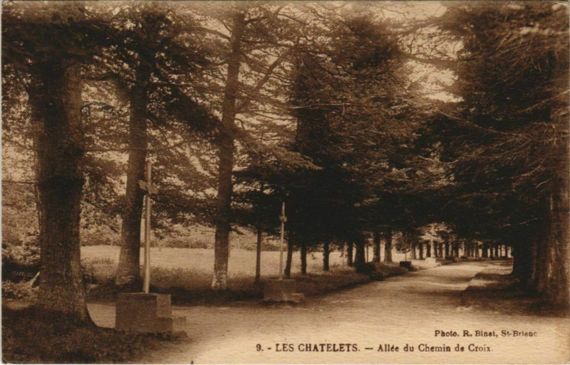 Carte postale ancienne Les Chatelets - Allee du Chemin de Croix