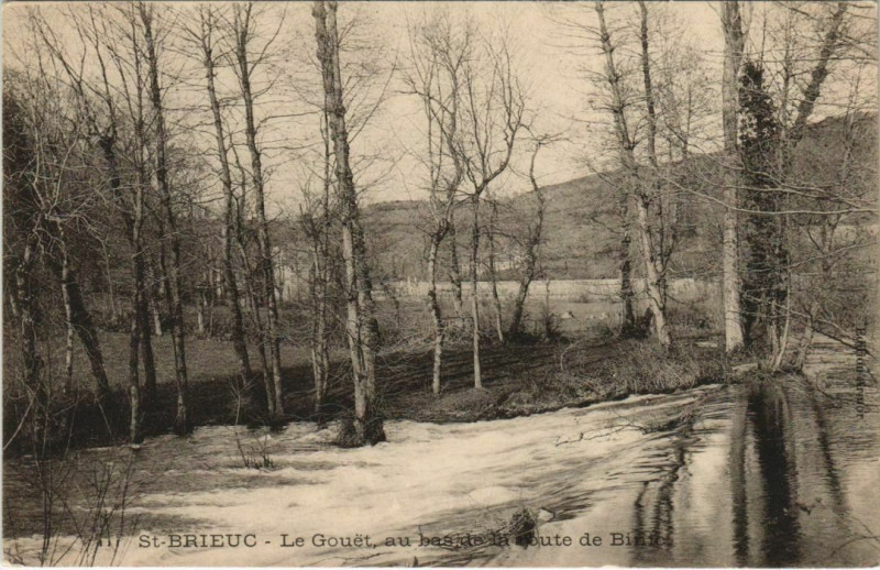 Carte postale ancienne Saint-Brieuc Le Gouet au Bas de la Route de Binic à Saint-Brieuc