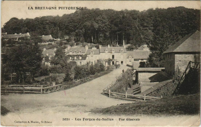 Carte postale ancienne Les Forges-de-Salles Vue Generale