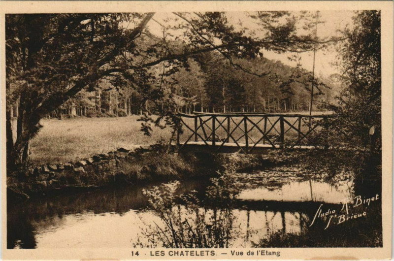 Carte postale ancienne Les Chatelets - Vue de l'Etang