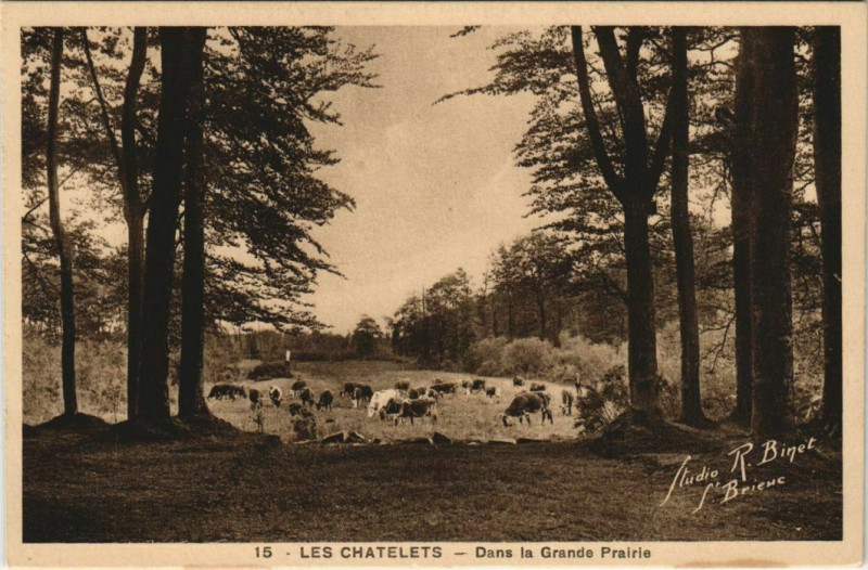 Carte postale ancienne Les Chatelets - Dans la Grande Prairie