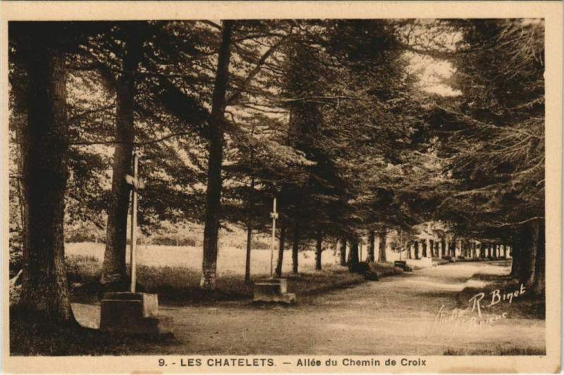 Carte postale ancienne Les Chatelets - Allee du Chemin de Croix